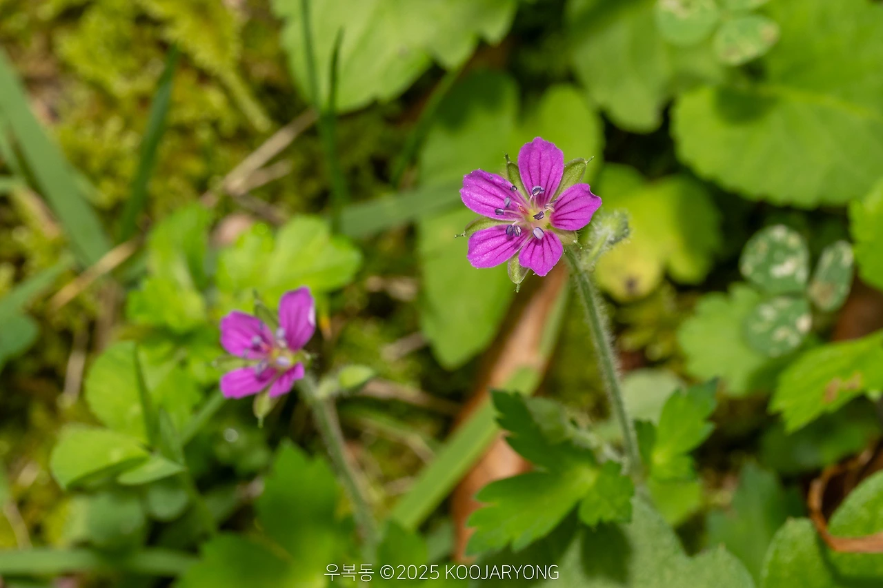 img.jpg?credential=yqXZFxpELC7KVnFOS48ylbz2pIh7yKj8&expires=1759244399&allow_ip=&allow_referer=&signature=bvFG7Z51GIEPmlpwwAIolJ0x5vk%3D