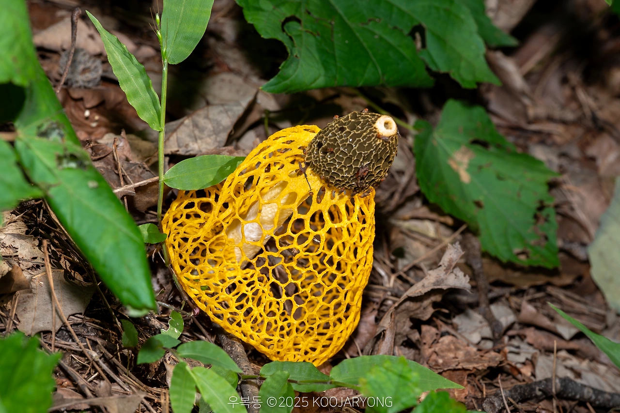 img.jpg?credential=yqXZFxpELC7KVnFOS48ylbz2pIh7yKj8&expires=1759244399&allow_ip=&allow_referer=&signature=izz%2F2hqn0aRekQA%2FIGoxQe8dMTA%3D