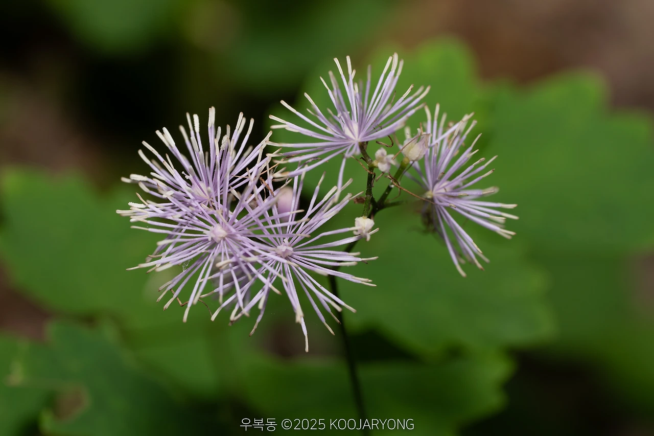 img.jpg?credential=yqXZFxpELC7KVnFOS48ylbz2pIh7yKj8&expires=1759244399&allow_ip=&allow_referer=&signature=RJthrmiS0vzX%2FrYygTCFOvwIr0c%3D