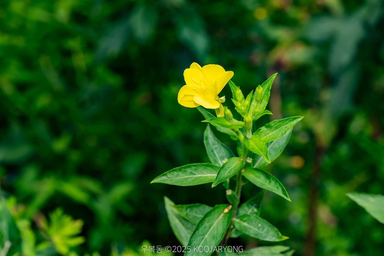 img.jpg?credential=yqXZFxpELC7KVnFOS48ylbz2pIh7yKj8&expires=1759244399&allow_ip=&allow_referer=&signature=%2F9RxqnFcyokQdA%2FCbdzt%2FNtt1Rk%3D