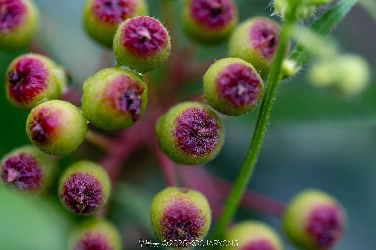 img.jpg?credential=yqXZFxpELC7KVnFOS48ylbz2pIh7yKj8&expires=1751295599&allow_ip=&allow_referer=&signature=HNHitA2BmKimabrPdA5eXljnGW8%3D