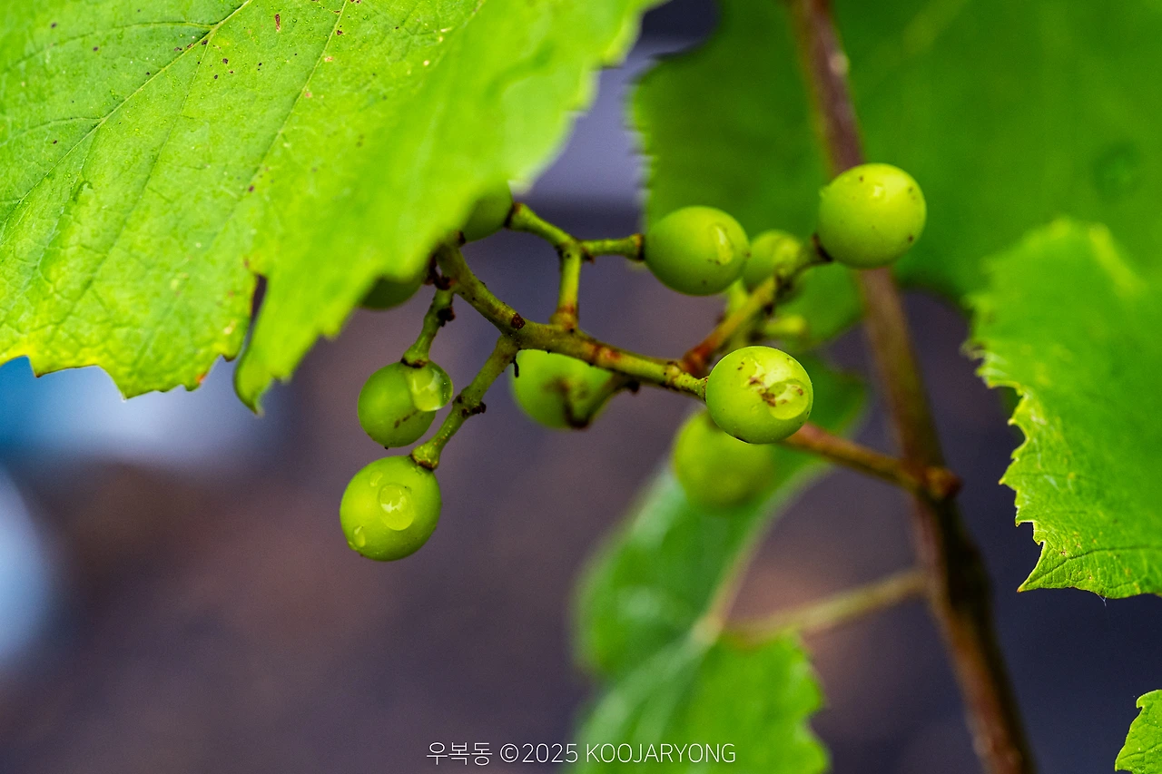 img.jpg?credential=yqXZFxpELC7KVnFOS48ylbz2pIh7yKj8&expires=1751295599&allow_ip=&allow_referer=&signature=M0mjmyc7AU5YPsB6SxfZlVpPM6Y%3D