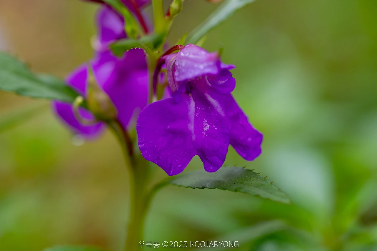 img.jpg?credential=yqXZFxpELC7KVnFOS48ylbz2pIh7yKj8&expires=1751295599&allow_ip=&allow_referer=&signature=SMGObjE%2FaBlG7WPQeVO5JARSkEQ%3D