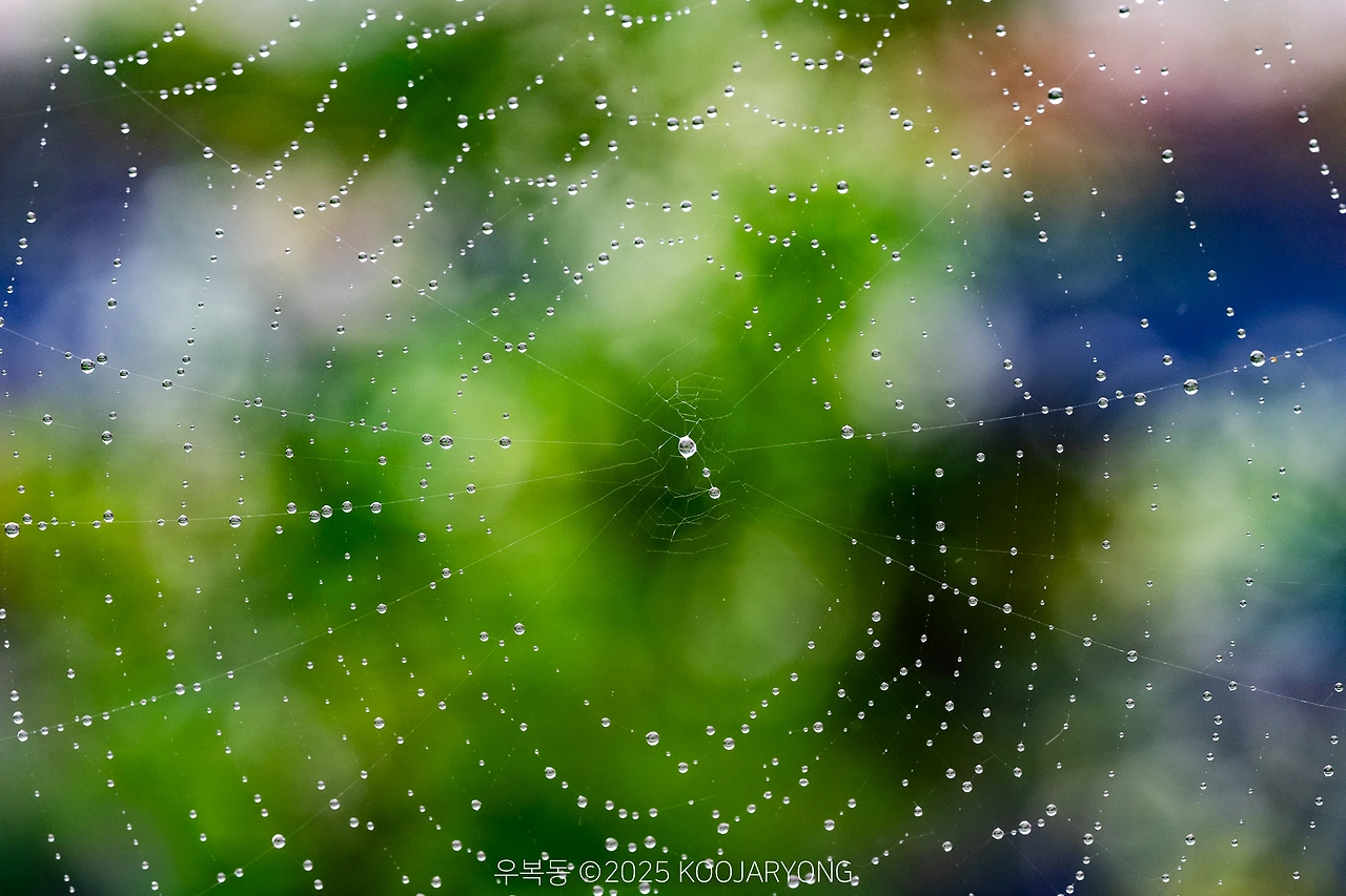 img.jpg?credential=yqXZFxpELC7KVnFOS48ylbz2pIh7yKj8&expires=1751295599&allow_ip=&allow_referer=&signature=5aneaP6J8Q3qR0jgc%2BxJgpSUWns%3D