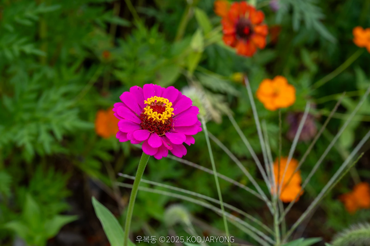 img.jpg?credential=yqXZFxpELC7KVnFOS48ylbz2pIh7yKj8&expires=1759244399&allow_ip=&allow_referer=&signature=ed5T4DhF6GxZnL2d2bI0LrNFoDo%3D