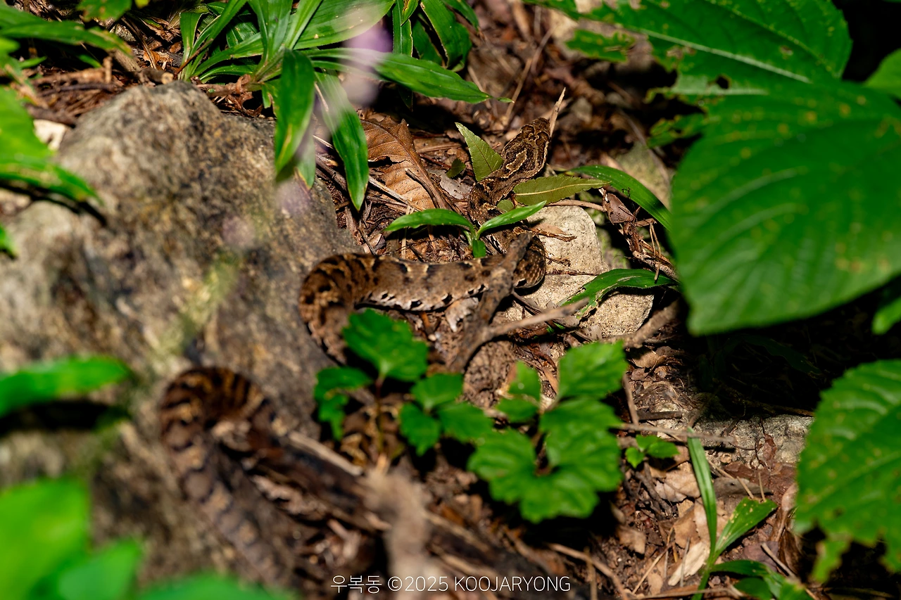 img.jpg?credential=yqXZFxpELC7KVnFOS48ylbz2pIh7yKj8&expires=1759244399&allow_ip=&allow_referer=&signature=AOM0ldHyVAtxXYezXLoRU3nssSo%3D