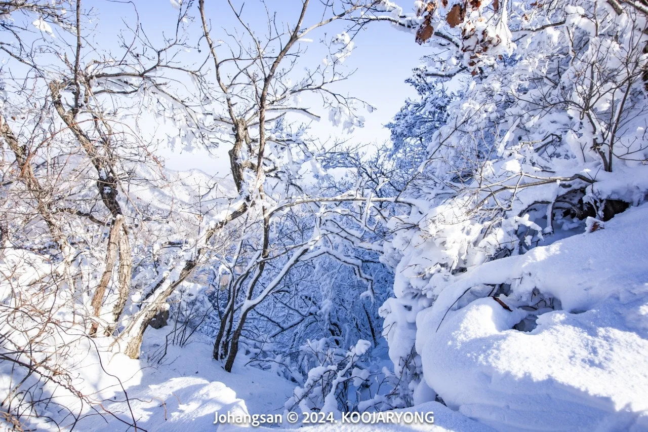 7_7fiUd018svcbqucerlhd5pp_ws4d8r.jpg?type=e1920_std