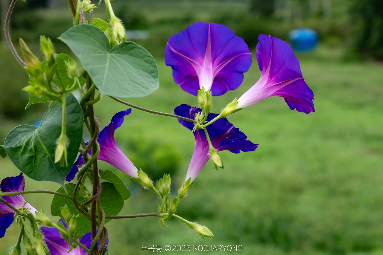 img.jpg?credential=yqXZFxpELC7KVnFOS48ylbz2pIh7yKj8&expires=1759244399&allow_ip=&allow_referer=&signature=Mh0Kw1QoHVtJXAD83eLA%2BsbzixE%3D