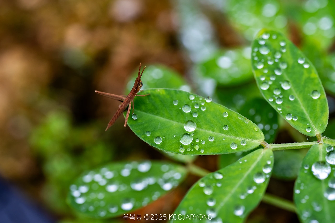 img.jpg?credential=yqXZFxpELC7KVnFOS48ylbz2pIh7yKj8&expires=1751295599&allow_ip=&allow_referer=&signature=vIG34CmxJCi7ncsA6t4YkZeA9%2Bs%3D