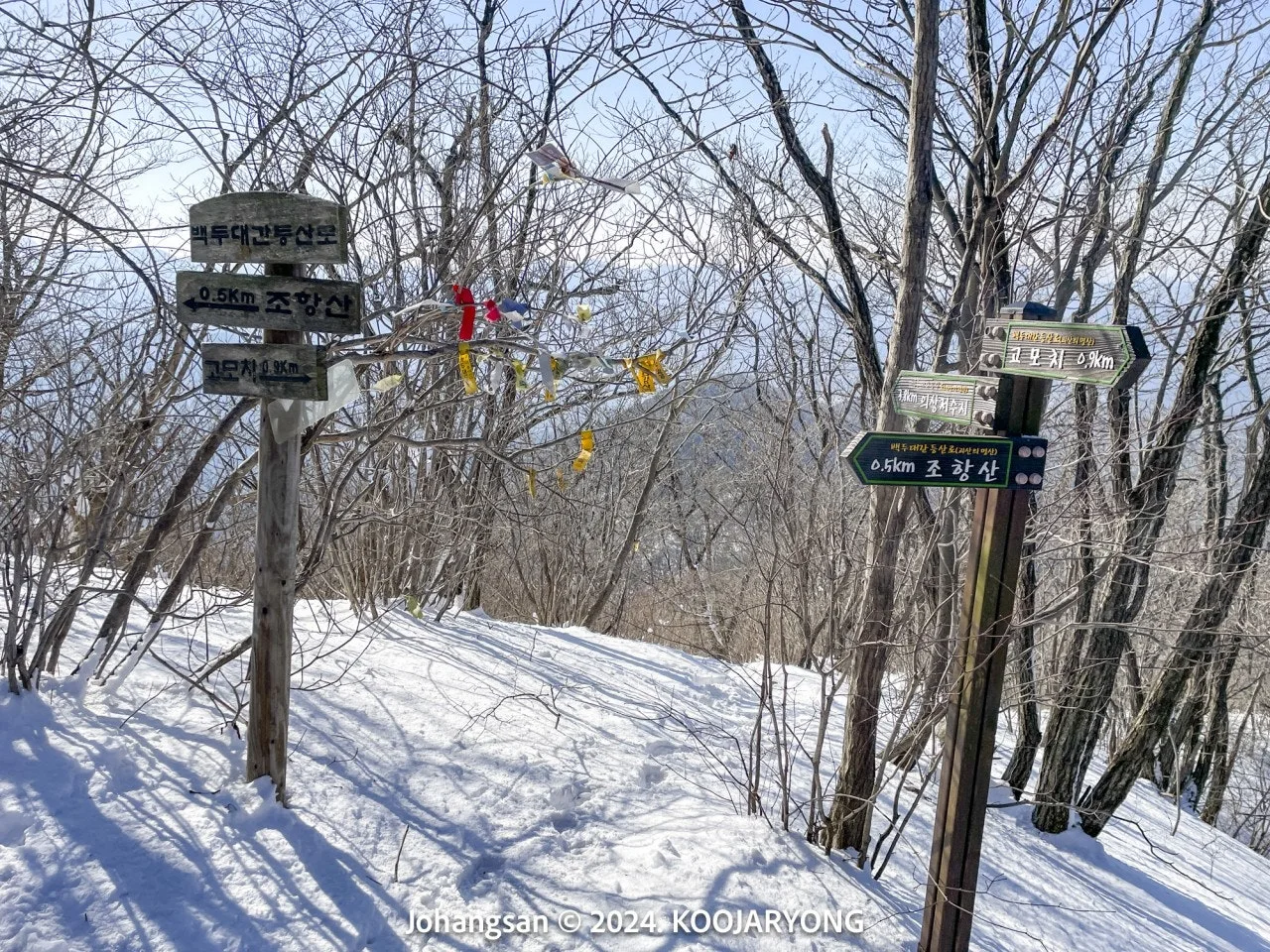 i_7ffUd018svc1oql8s9iuipan_ws4d8r.jpg?type=e1920_std