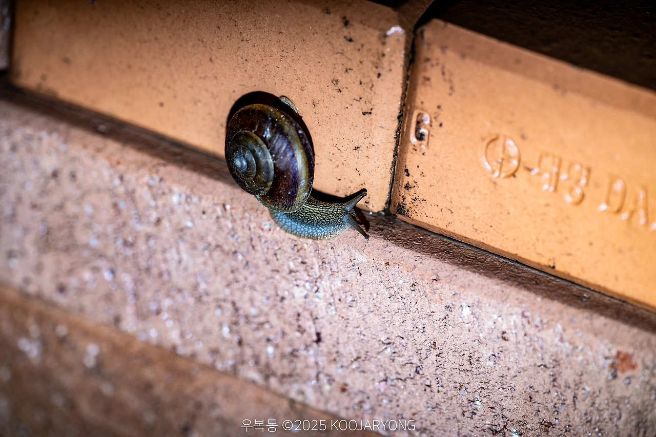 img.jpg?credential=yqXZFxpELC7KVnFOS48ylbz2pIh7yKj8&expires=1751295599&allow_ip=&allow_referer=&signature=OOMJPaRV2ObgRPr9S1et6iZxd5Q%3D