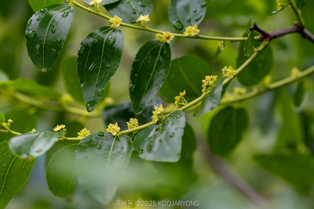 img.jpg?credential=yqXZFxpELC7KVnFOS48ylbz2pIh7yKj8&expires=1751295599&allow_ip=&allow_referer=&signature=6Jp6X2%2F%2B2z8YyeCyAad5k5Nm208%3D