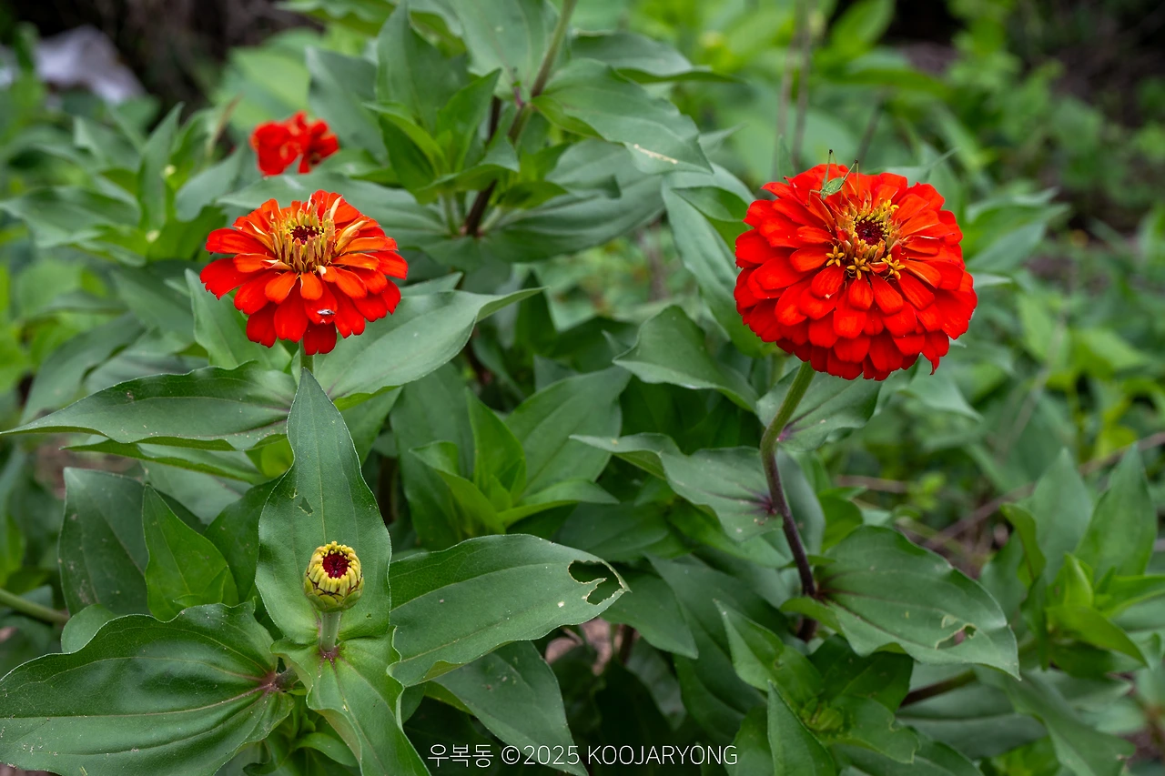 img.jpg?credential=yqXZFxpELC7KVnFOS48ylbz2pIh7yKj8&expires=1759244399&allow_ip=&allow_referer=&signature=uPjyc2FEr8iaanNzeDDqOgtLrcw%3D