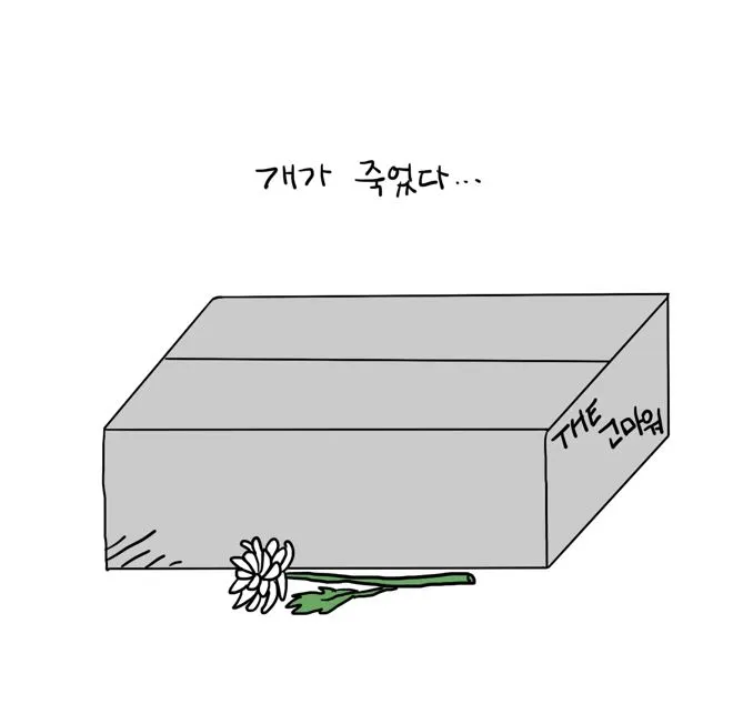 개가죽었다.JPG