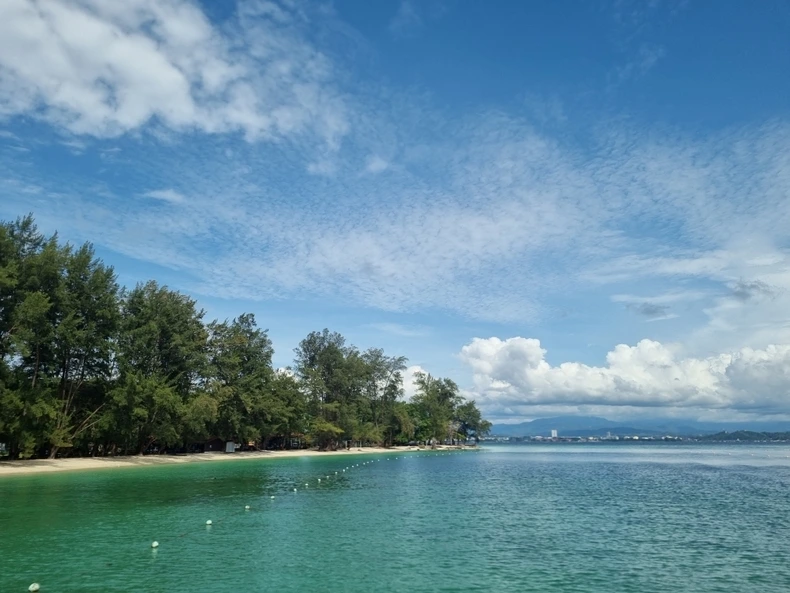 aaa9102232a15bdb95deae8d995b6b14.jpg?w=790