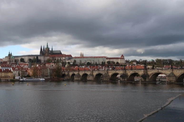 %E3%85%8D.jpg?type=w773