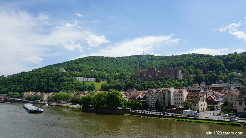 246ECC4256BD9420037636