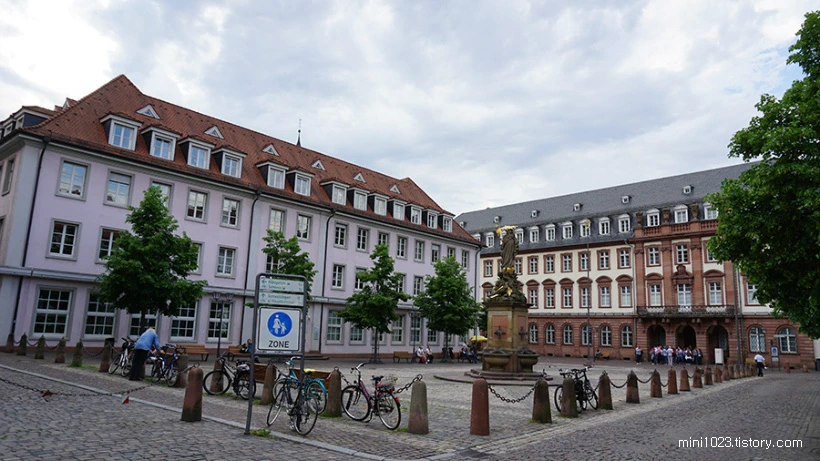 2620D43E56BF1FCA01E936