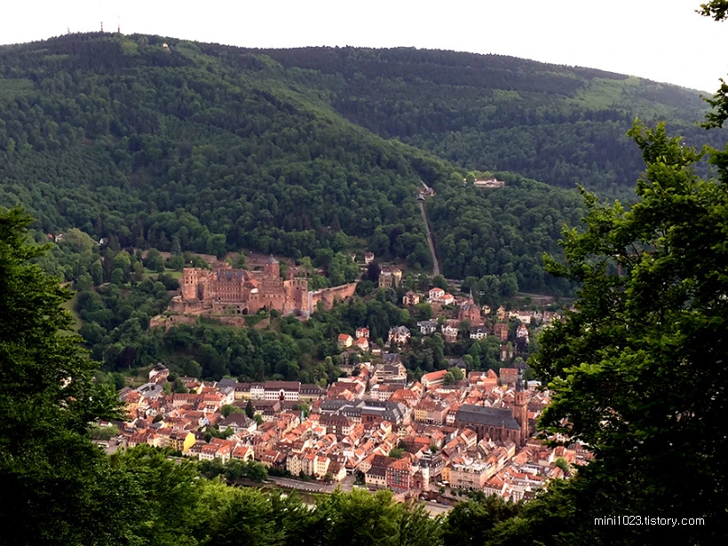 212DFA4556BF1FAF1EBCD0