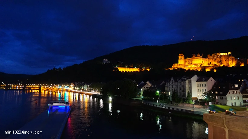 222FD44456BD943206476C