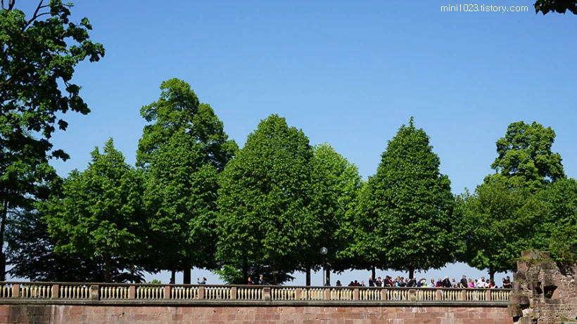 225D534256BD94110CE6DB