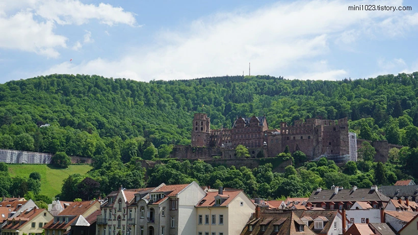 2122AC4256BD941F2950D6