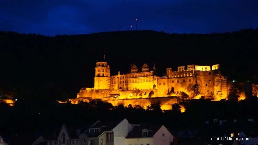 2336B44456BD942B02496E