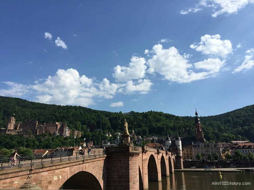 256BE54456BD9427281028