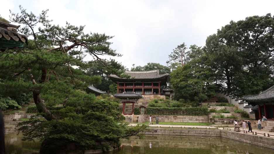 IMG_1294.JPG?type=w1