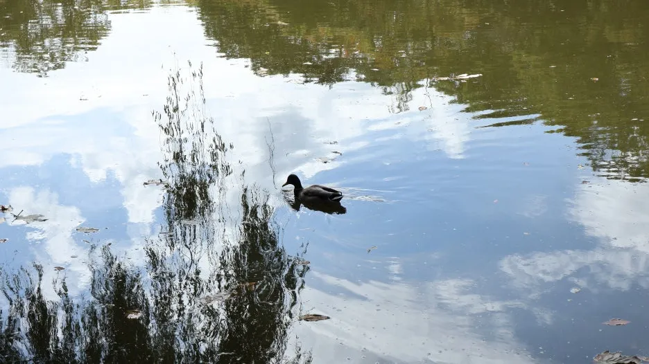 IMG_6751.JPG?type=w1