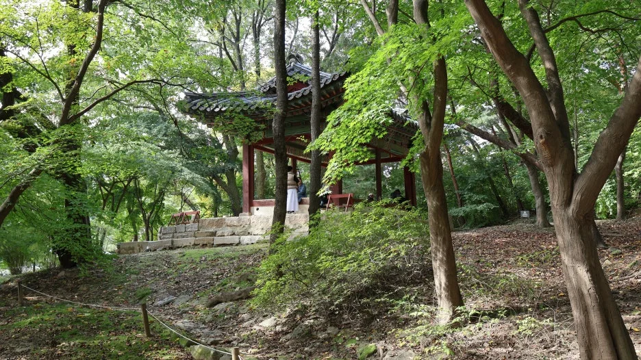 IMG_6739.JPG?type=w1