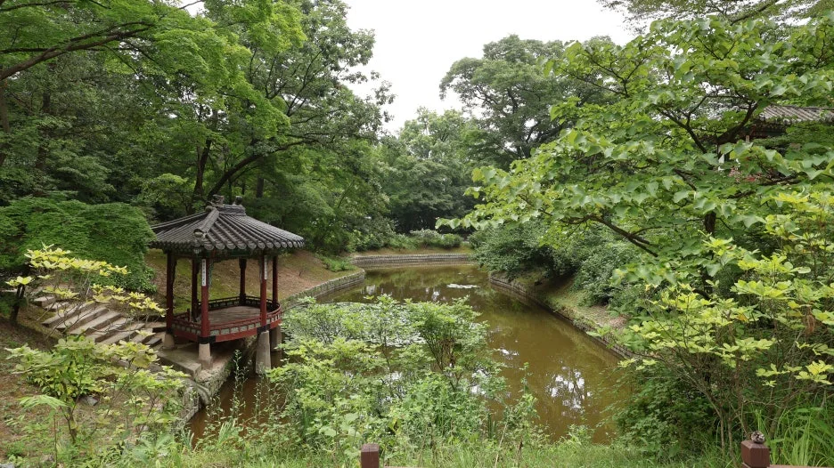 IMG_1402.JPG?type=w1