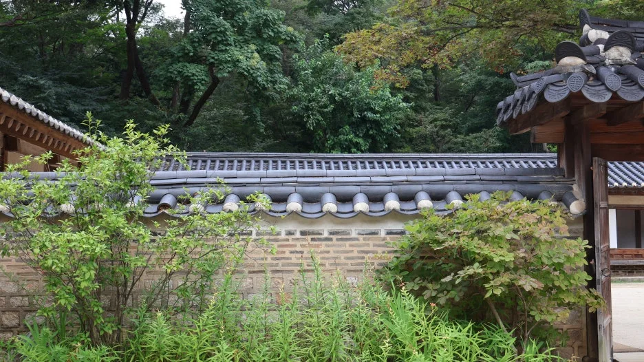 IMG_1367.JPG?type=w1