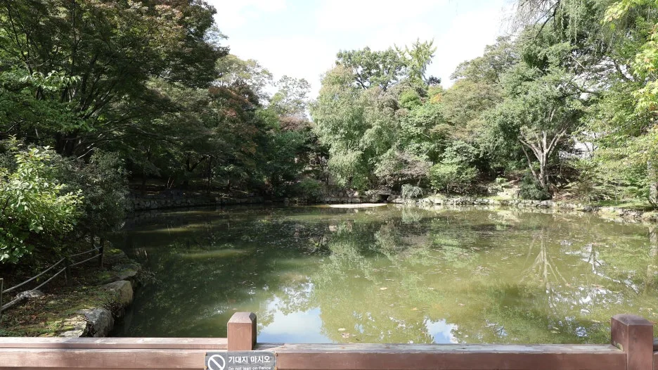 IMG_6708.JPG?type=w1