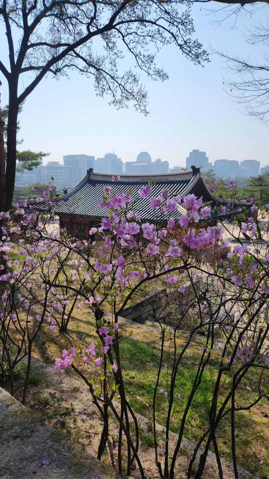 20250411_100509_%ED%81%AC%EA%B8%B0%EB%B3%80%EA%B2%BD.jpg?type=w1