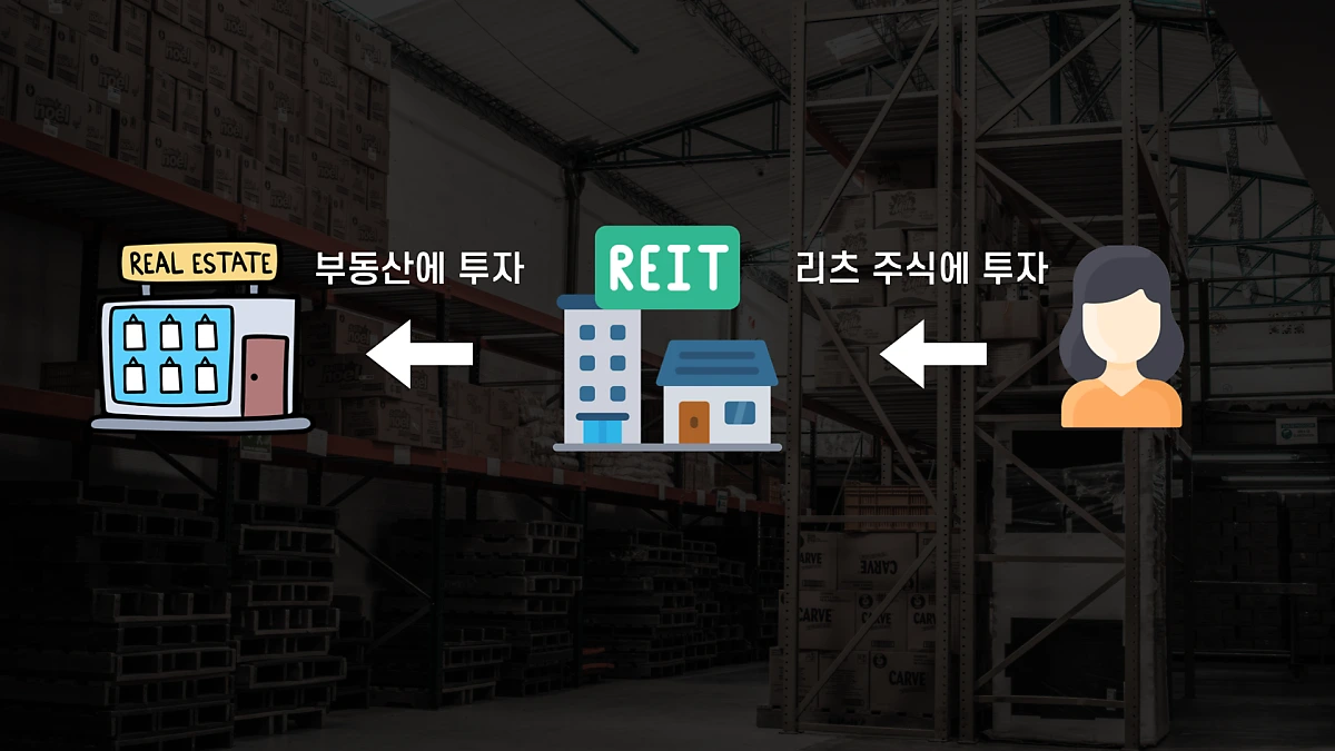 1124-%EB%AC%BC%EB%A5%98%EB%A6%AC%EC%B8%A0_%ED%82%A4%EB%85%B8%ED%8A%B8.009.png?type=w1200