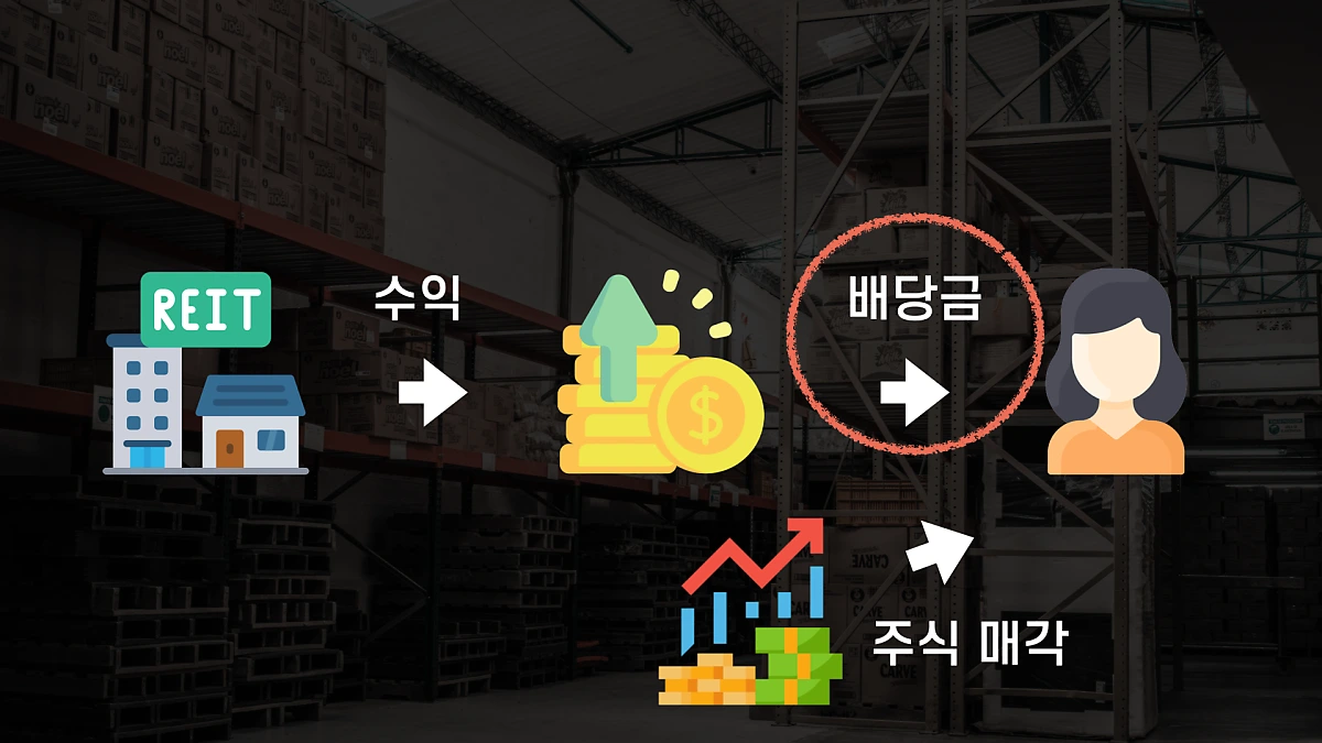 1124-%EB%AC%BC%EB%A5%98%EB%A6%AC%EC%B8%A0_%ED%82%A4%EB%85%B8%ED%8A%B8.024.png?type=w1200