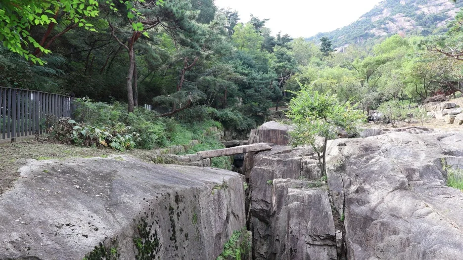 IMG_2216_%ED%81%AC%EA%B8%B0%EC%A1%B0%EC%A0%88.JPG?type=w1