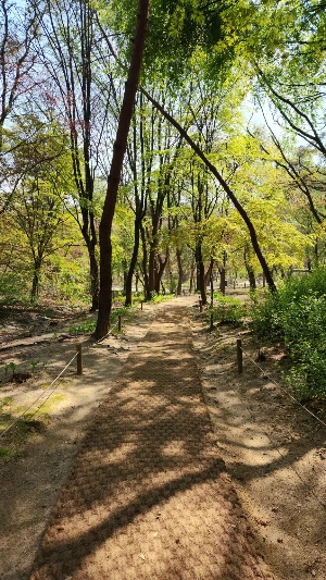 20250411_101042_%ED%81%AC%EA%B8%B0%EC%A1%B0%EC%A0%88.jpg?type=w1