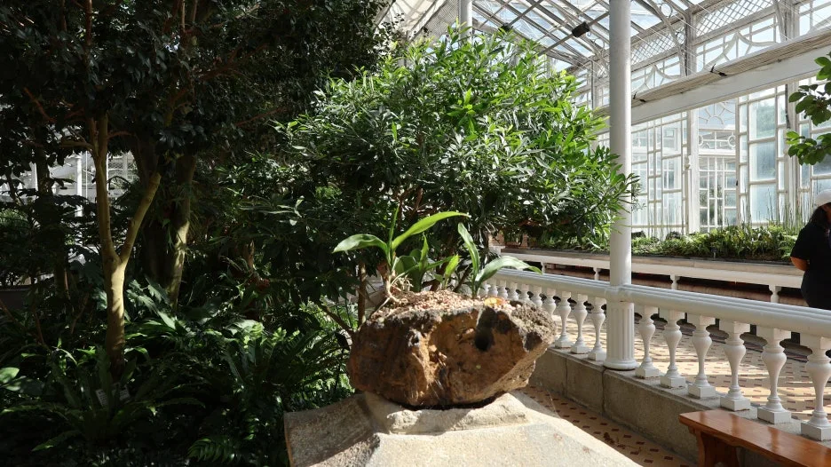 IMG_6725.JPG?type=w1