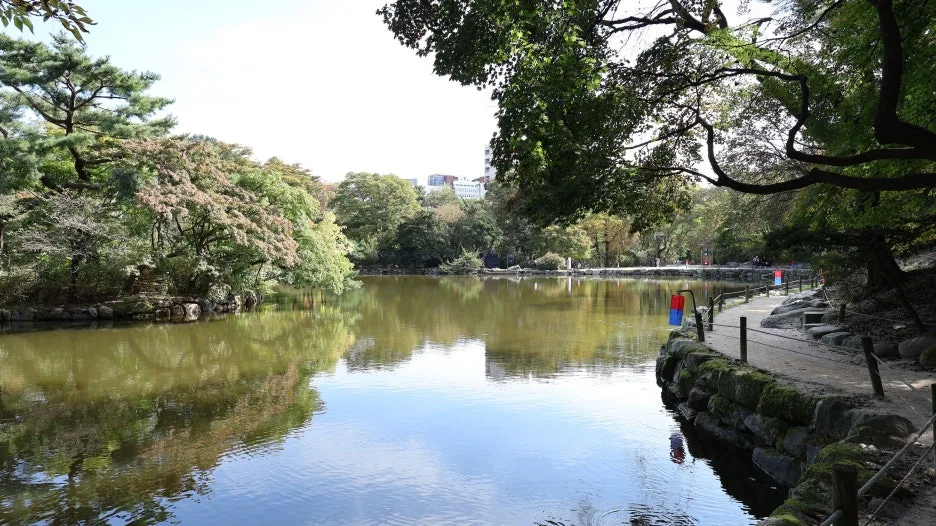 IMG_6701_%ED%81%AC%EA%B8%B0%EC%A1%B0%EC%A0%88.JPG?type=w1