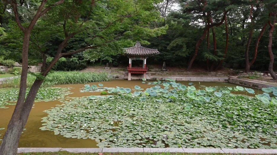 IMG_1308.JPG?type=w1