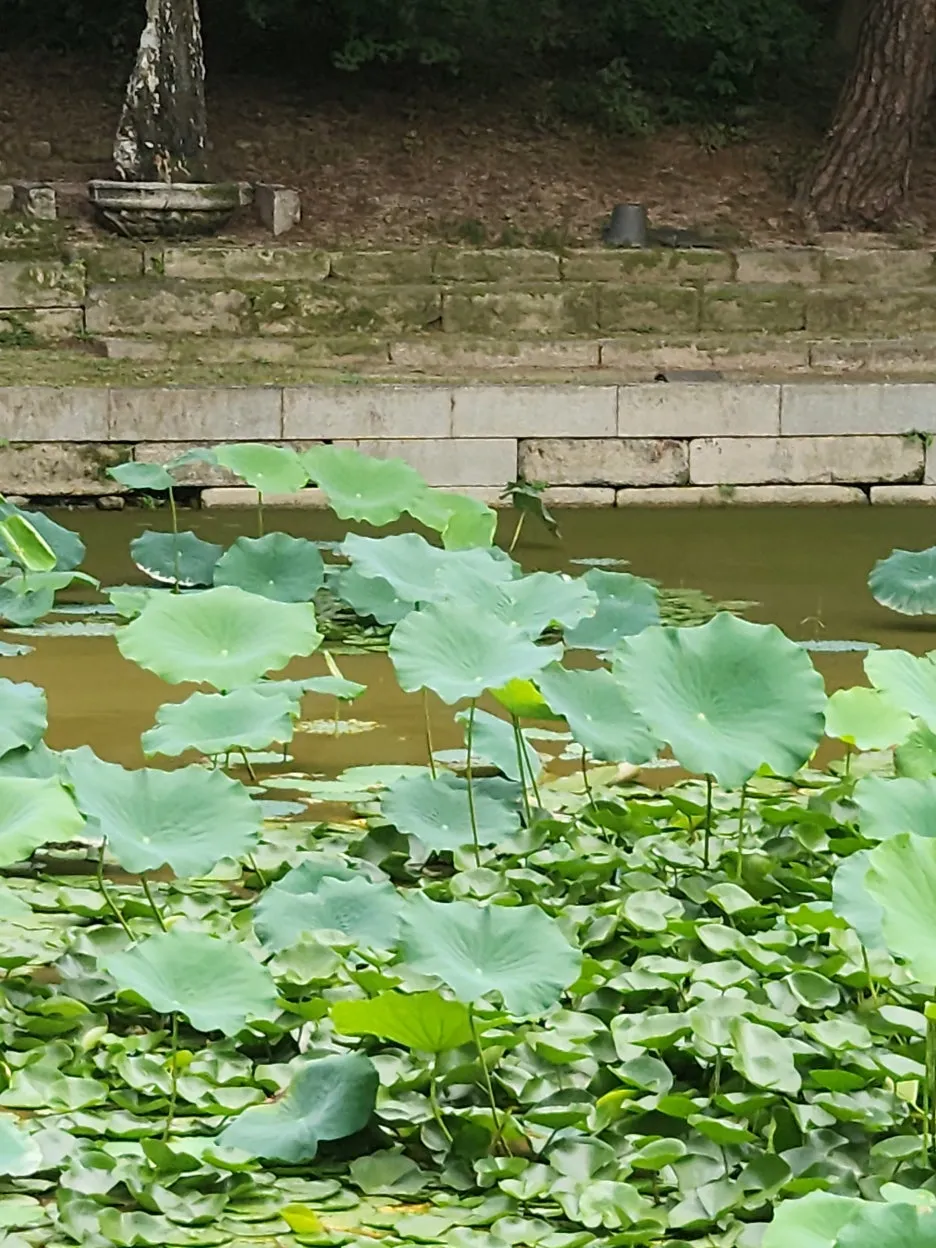 20250808_110959.jpg?type=w1