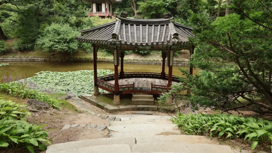 IMG_1432.JPG?type=w1