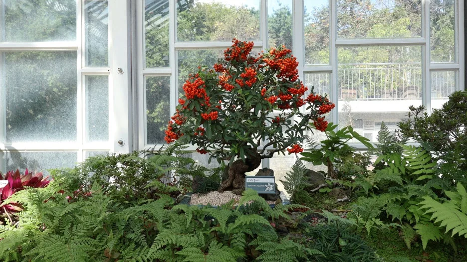 IMG_6727.JPG?type=w1