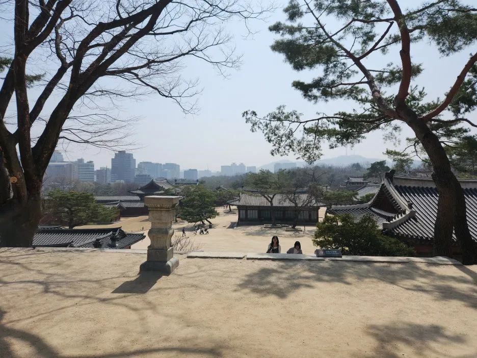 20250323_124207.jpg?type=w1