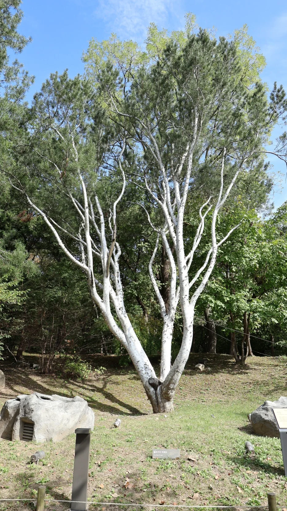 IMG_6754.JPG?type=w1