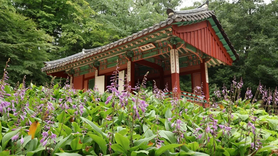 IMG_1400.JPG?type=w1