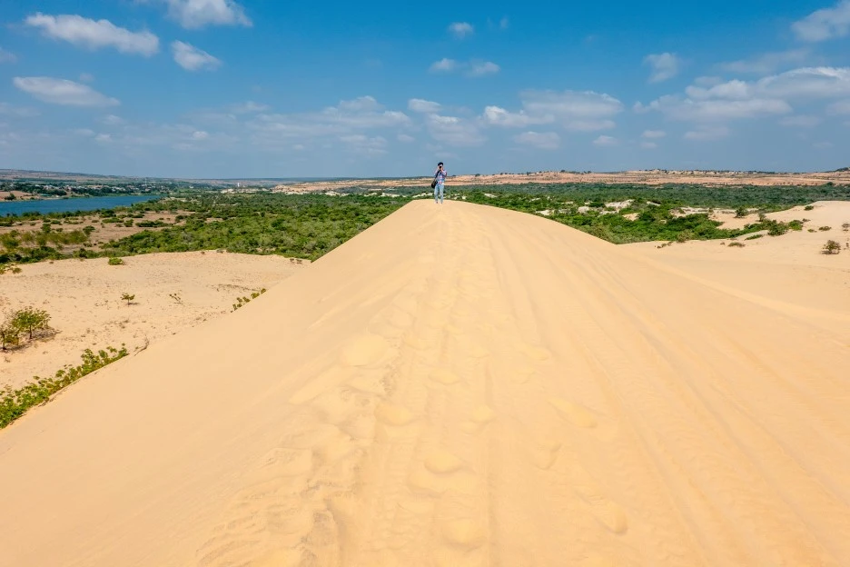 DSC07176re.jpg?type=w1