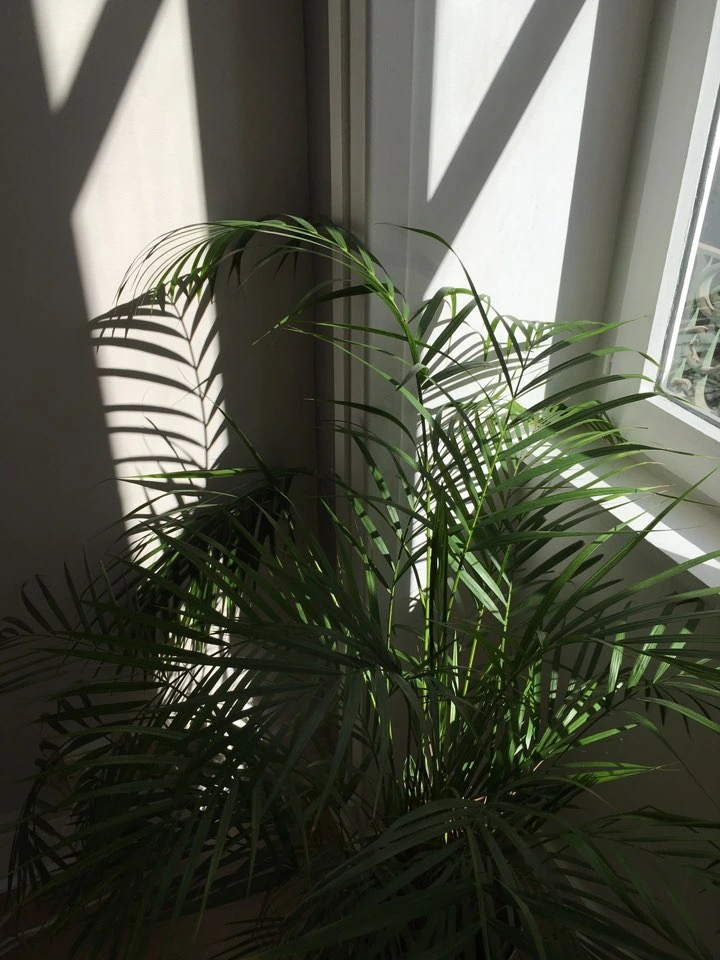 KakaoTalk_Photo_2016-10-05-21-40-15_14 (1).jpeg